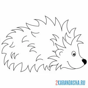 Раскраска ежик спрятал лапки