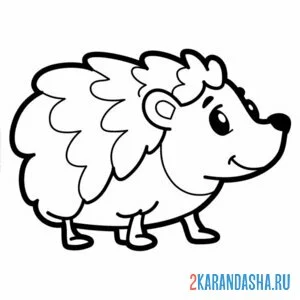 Раскраска пушистый еж