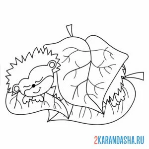 Раскраска ежик спит под листьями