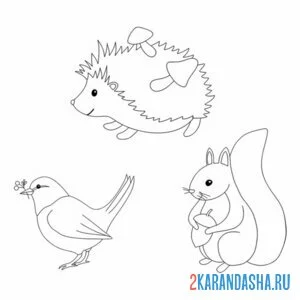 Раскраска еж, белка и птичка