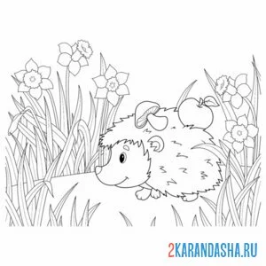 Раскраска ежик в лесу с едой