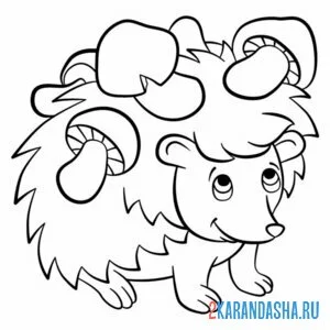 Раскраска ежик и много грибов