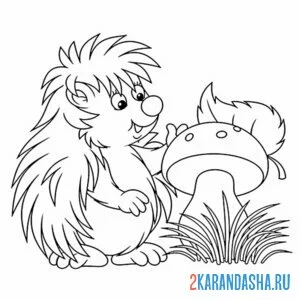 Раскраска осенний ежик и гриб