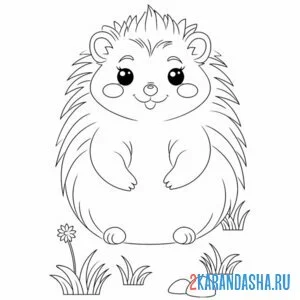 Раскраска милый ежик и цветочки