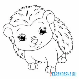 красивый ежик