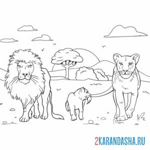 Раскраска львиная семья