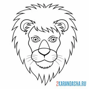 Раскраска голова льва грива