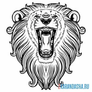 Раскраска лев рычит