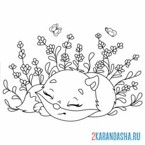 Раскраска лиса спит в цветочках