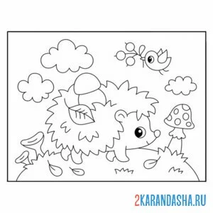 Раскраска ежик и птичка