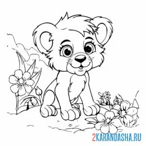 Раскраска львенок один