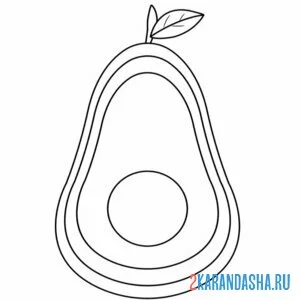 Раскраска авокадо в разрезе