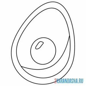 Раскраска авокадо лежит