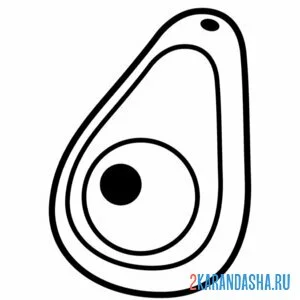 Раскраска фрукт авокадо