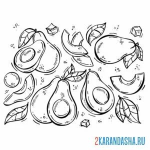 Раскраска много авокадо