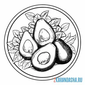 Раскраска авокадо много