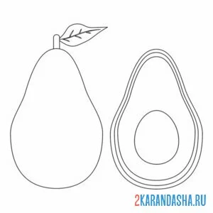 Раскраска авокадо вид в разрезе