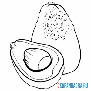 Раскраска авокадо настоящее