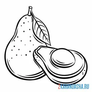 Раскраска спелое авокадо