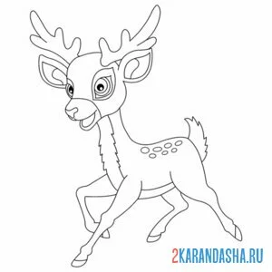 Раскраска скакун олень