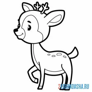 Раскраска маленький олень