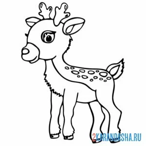 Раскраска малыш олененок