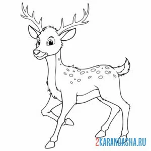 красивый статный олень