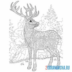 Раскраска антистресс олень в лесу