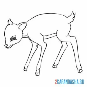 Раскраска маленький олененок без рогов