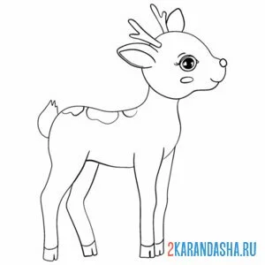 Раскраска маленький малыш олененок