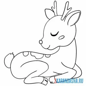 Раскраска олененок с маленькими рожками