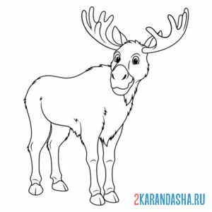 Раскраска большой лось
