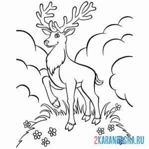 Раскраска олень в лесу на горе