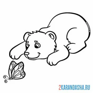 Раскраска милый медведь играет с бабочкой