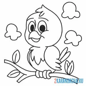 Раскраска птичка на ветке. простая раскраска