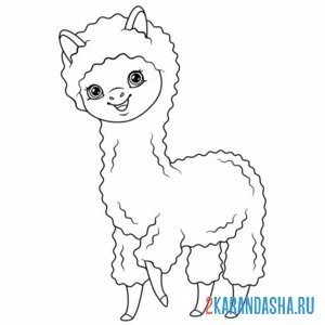 Раскраска простая раскраска альпака
