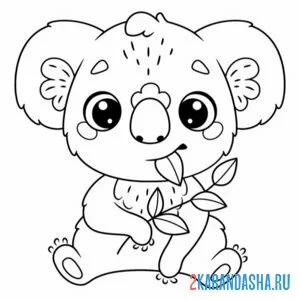 Раскраска легкая раскраска коала