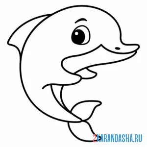 Раскраска простая раскраска дельфин
