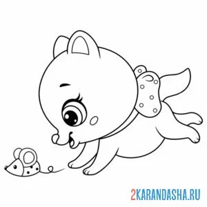 Раскраска легкая раскраска котенок