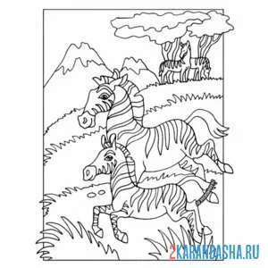 Раскраска две зебры на прогулке