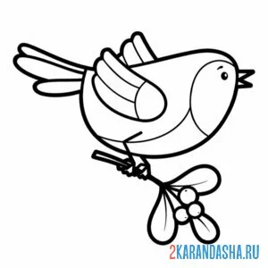 Раскраска птичка с ягодками