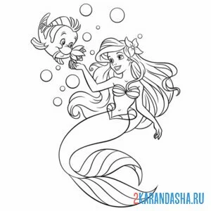 Раскраска флаундер подарил ариэль цветочек