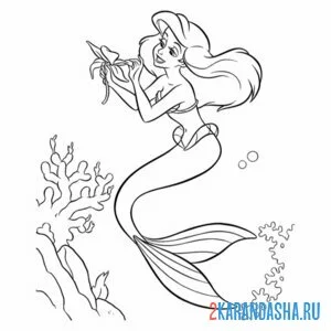 Раскраска ариэль гадает на цветке