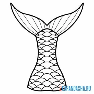 Раскраска хвост русалочки