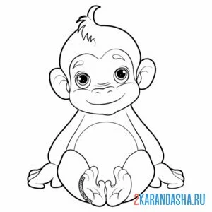 Раскраска маленькая обезьянка