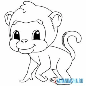 Раскраска малышка обезьянка