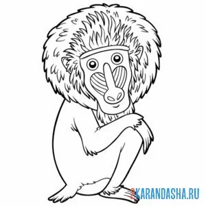 Раскраска обезьяна мандрил