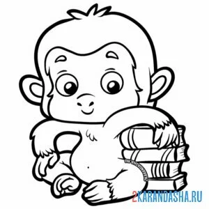 Раскраска обезьянка с книжками