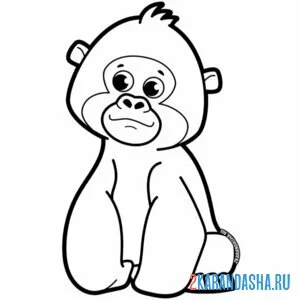 Раскраска горилла маленькая обезьянка