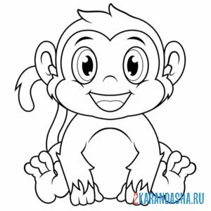 Раскраска малютка обезьянка